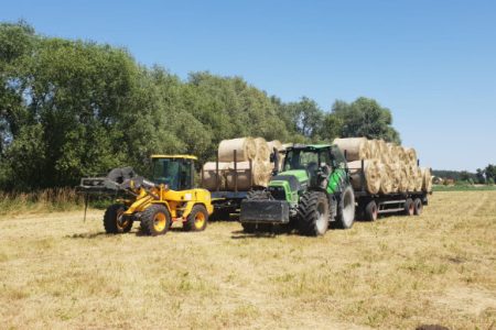 Forst- & Landwirtschaft